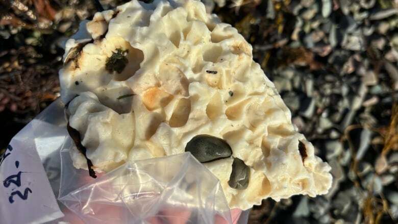 Mystery blobs washing up on Newfoundland shores likely man-made, says scientist