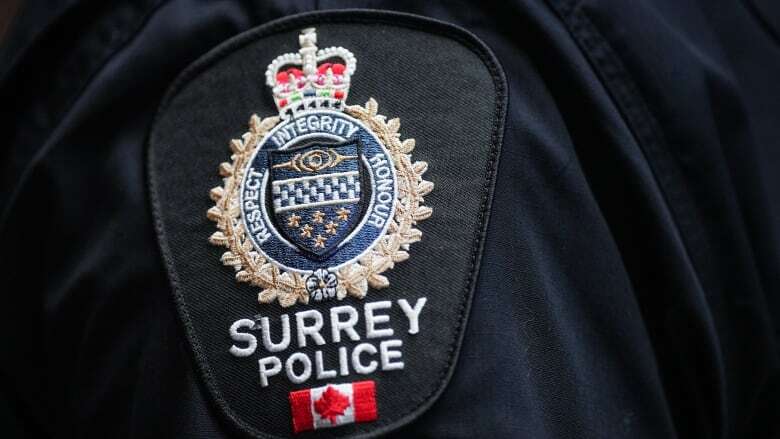 Suspect arrested after unprovoked stranger attacks in Surrey, B.C.