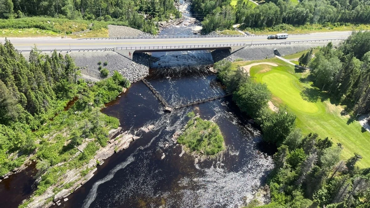 No doubt there's a drought — scientist says N.L. water levels are historically low