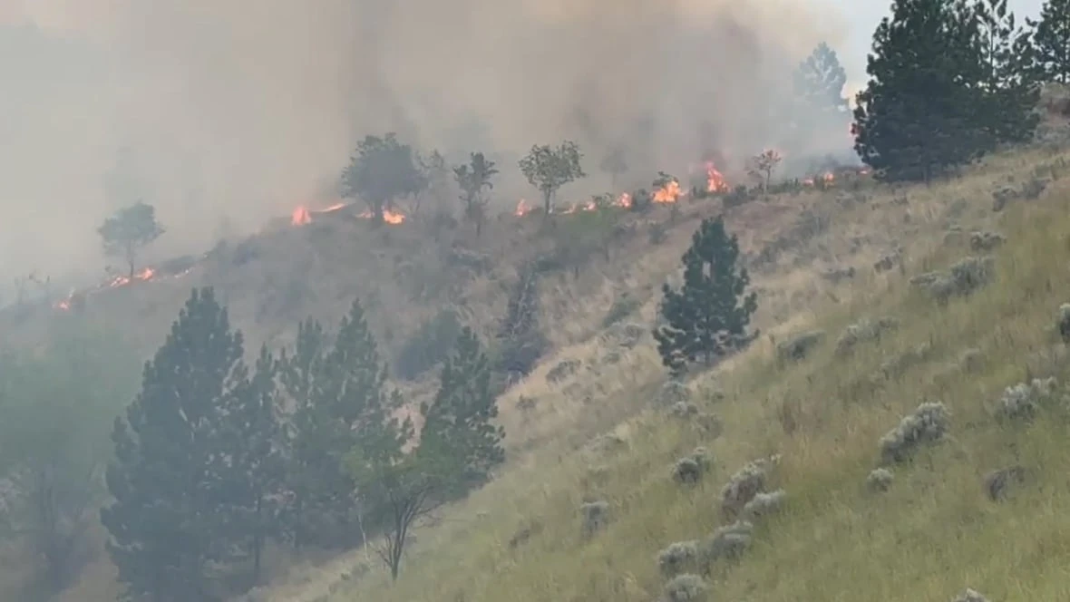 Brush fire near hospital in Kamloops, B.C., sends smoke billowing through city