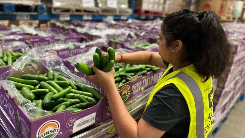 Food bank flooded with 'blessing' of surplus donations amid soaring demand