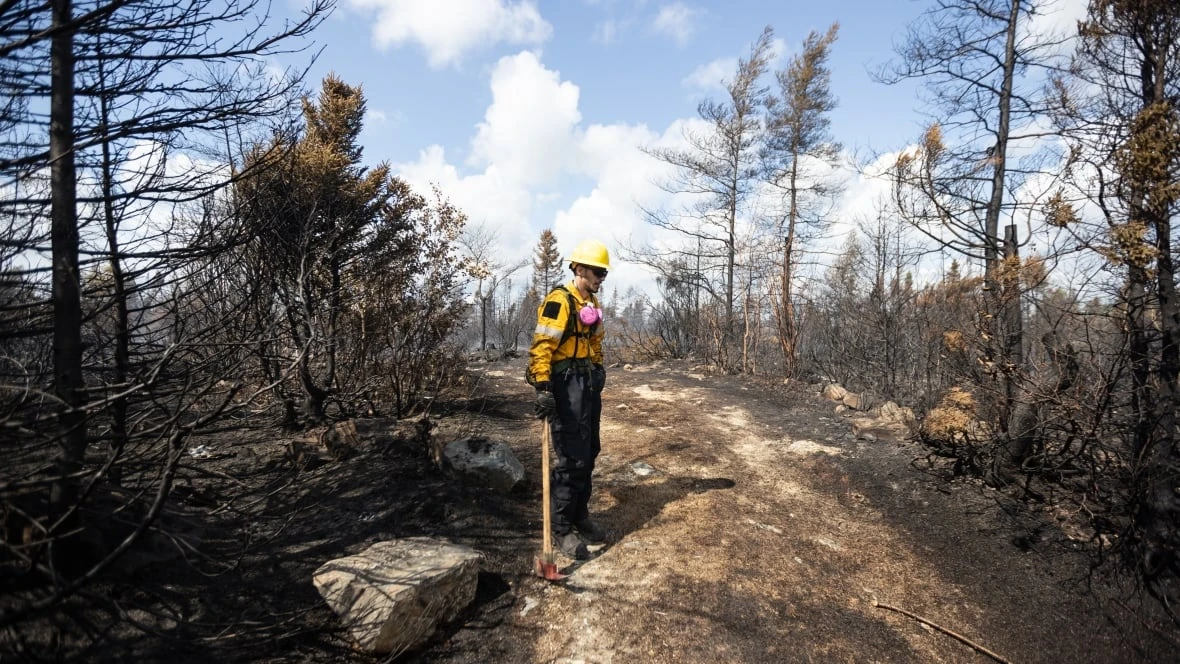 200 power poles destroyed by Kingston wildfire, says Newfoundland Power