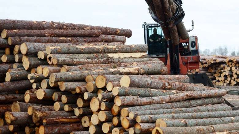 Tariffs would 'decimate' northern Ontario softwood industry: NOMA president