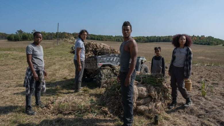 40 Acres gets world sales deal at TIFF amid claims some businesses not paid since Sudbury filming ended