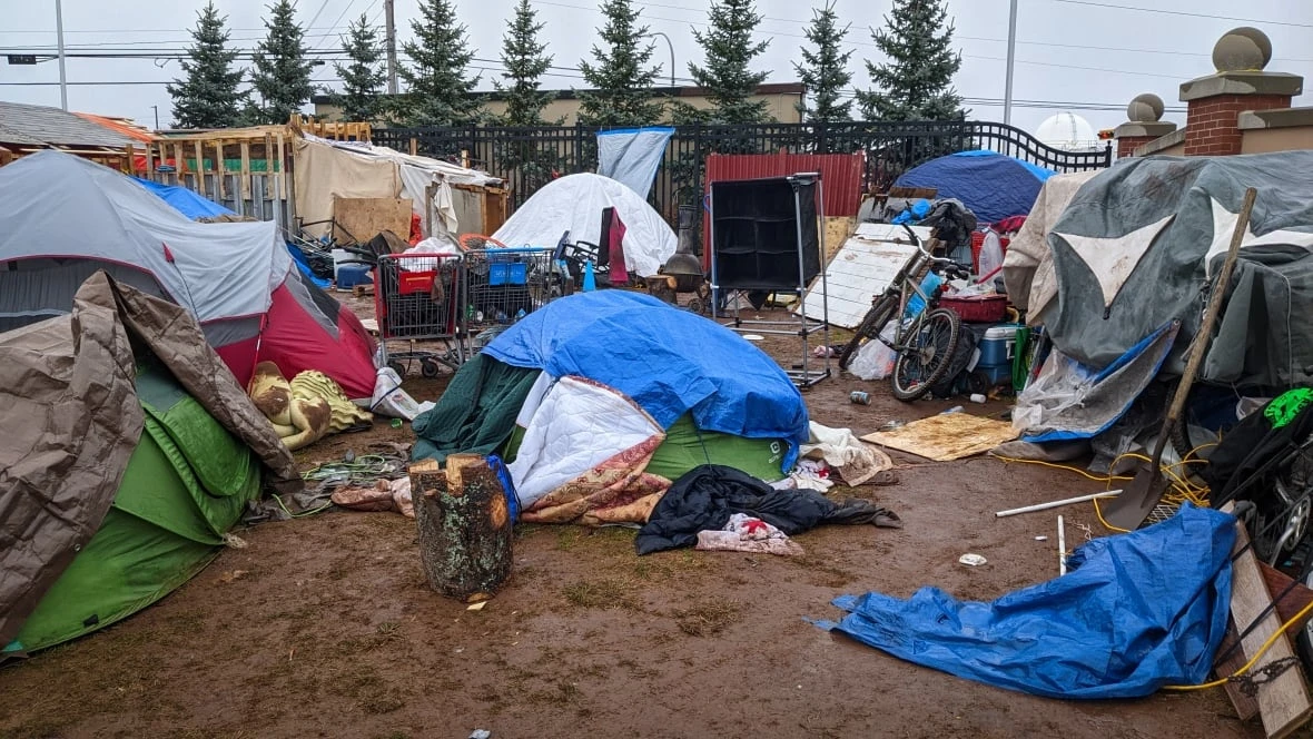 Spreading out services would better serve P.E.I.'s homeless: report