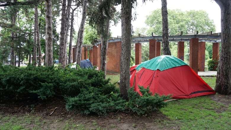 Hamilton council defers vote on banning encampments in parks to next year