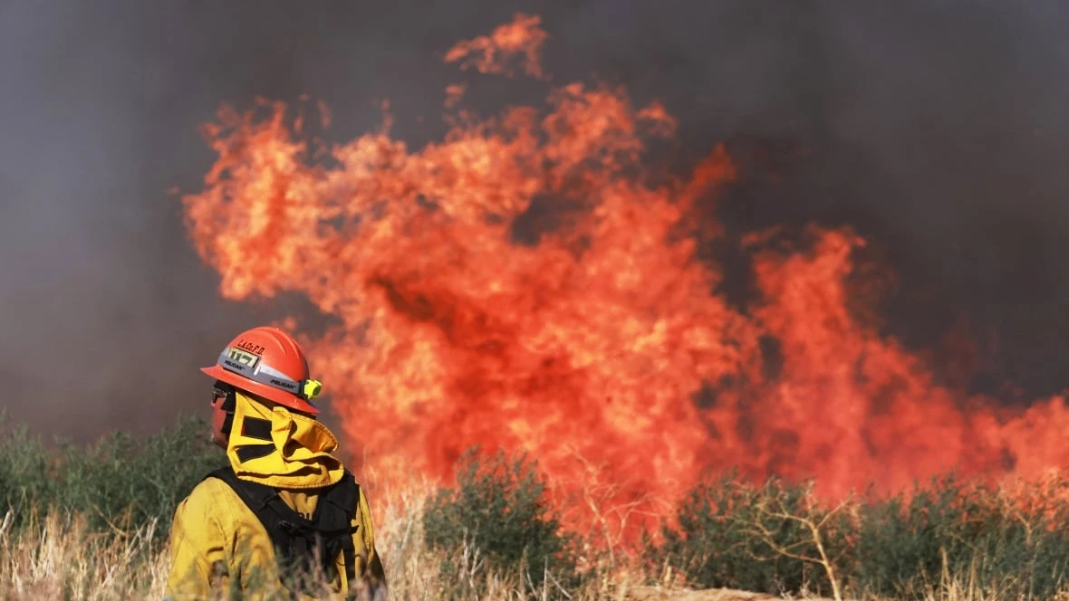 Experts say Manitoba needs better forest management to mitigate wildfires — but some divided on best practices