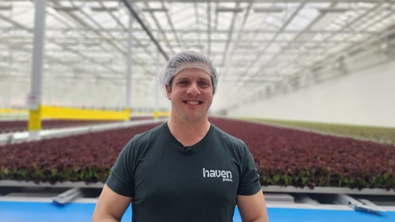 Can machine-grown lettuce help cut Canada's reliance on U.S. greens? This farmer is betting on it