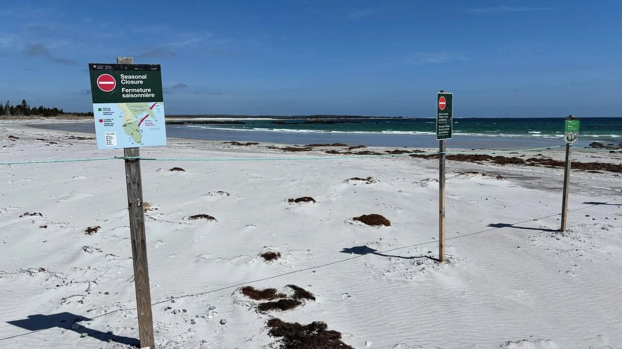 Parks Canada reminds public to respect N.S. beach closures for piping plovers