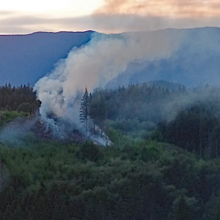 Brush fire breaks out in Maple Ridge, B.C., forest