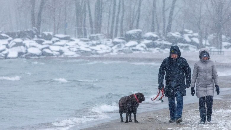 Toronto, much of southern Ontario under snowfall warning Wednesday