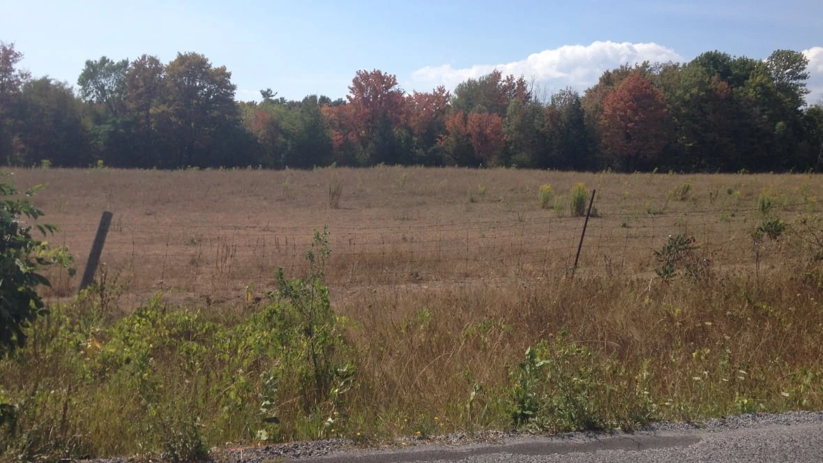 Kingston area the latest to face critically low water levels
