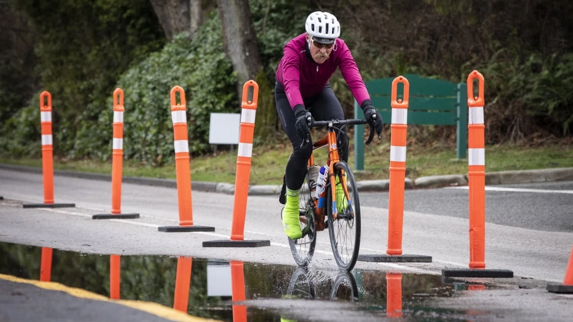 New Stanley Park bus route, bike lane possible as park board reviews mobility study
