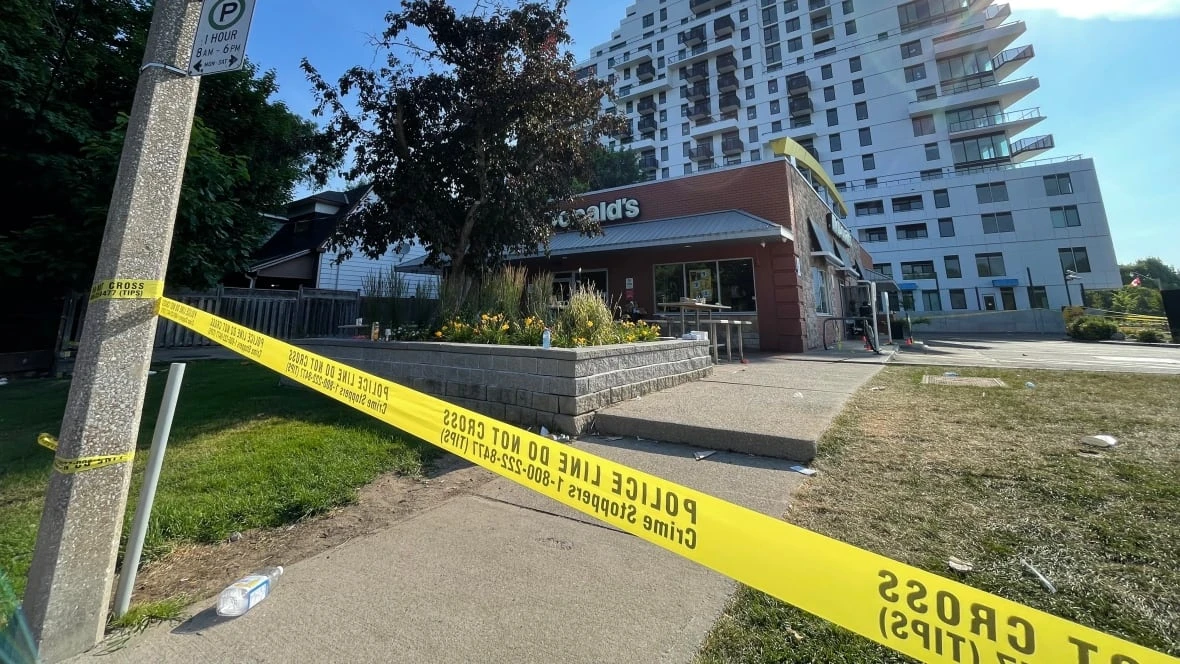 Teen charged with 1st-degree murder in stabbing death of 14-year-old: Toronto police