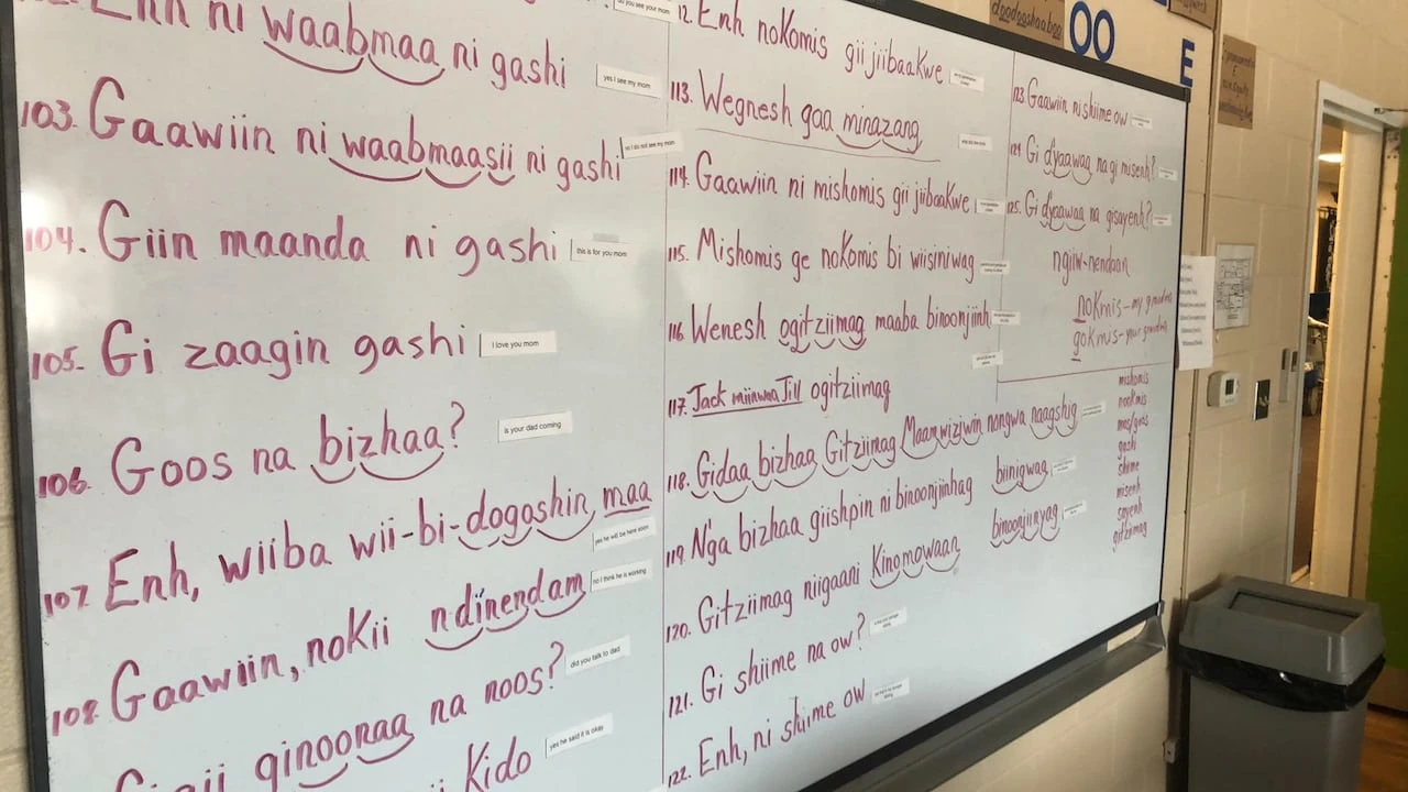 21 First Nations join together to draft a strategy to reclaim the Anishinaabewowin language