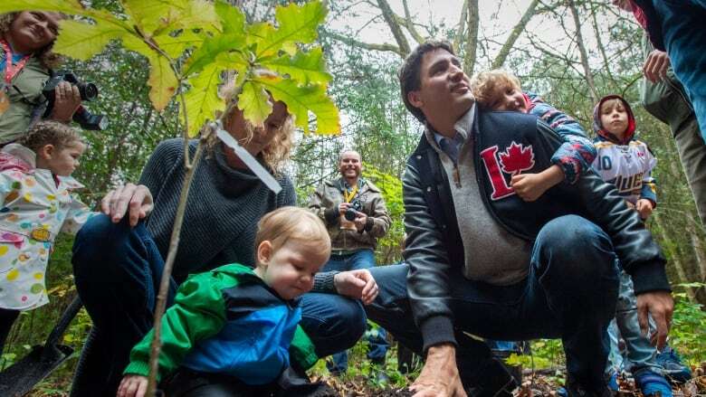 Out on a limb: Feds falling behind on promise to plant 2 billion trees