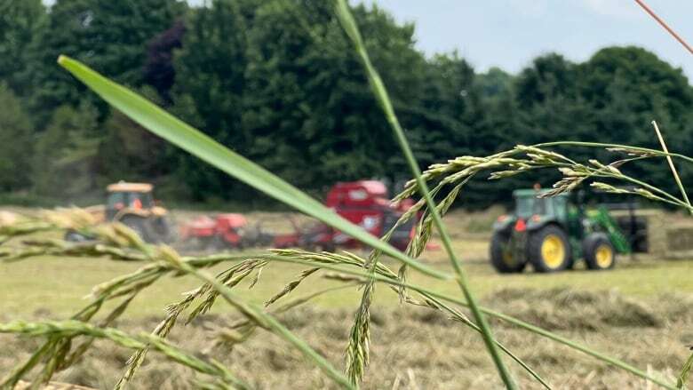 Ontario farmland prices cool down after years of double-digit jumps