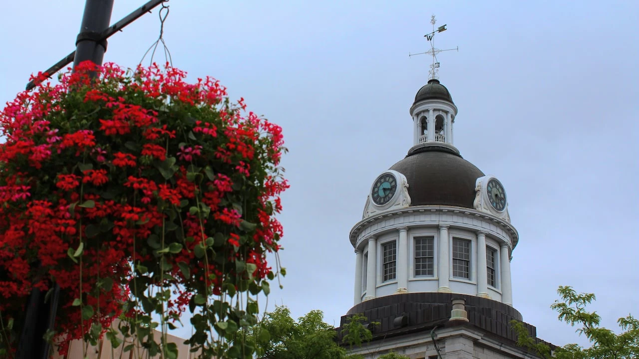 Councillor, political newcomers challenge mayor seeking 4th term in Kingston race