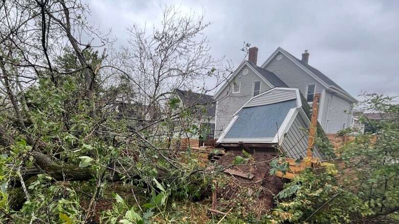 Post-Fiona, prepping for extreme weather in P.E.I. is both physical and mental