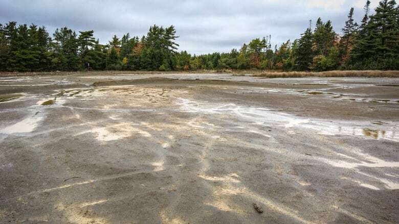 Cleanup of historical mines in Nova Scotia to begin next year