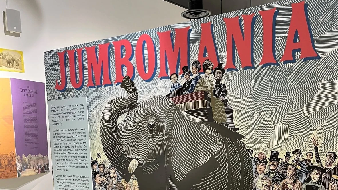 New exhibit in St. Thomas explores legacy of global icon — Jumbo the elephant