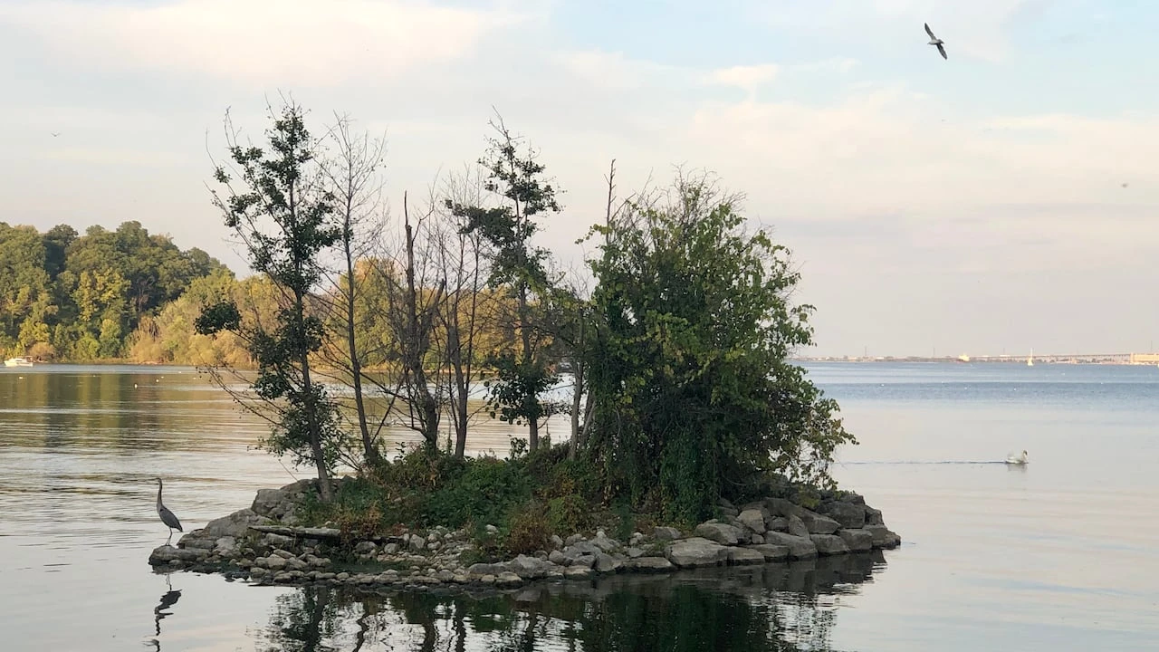 What do you value about the waterfront? Niagara, Hamilton and Halton conservation authorities want to know