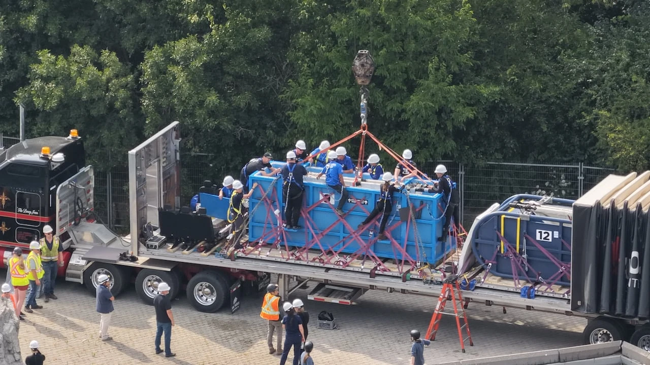 'Emergency rescue' of Marineland belugas begins