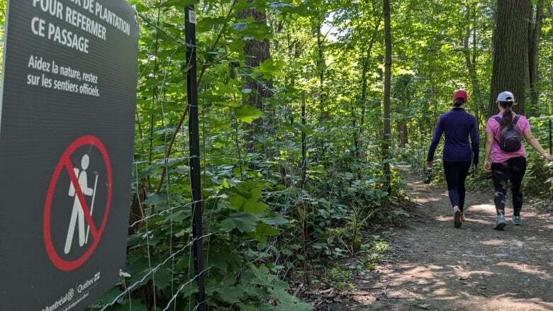 Can urban parks protect biodiversity as they welcome more visitors?