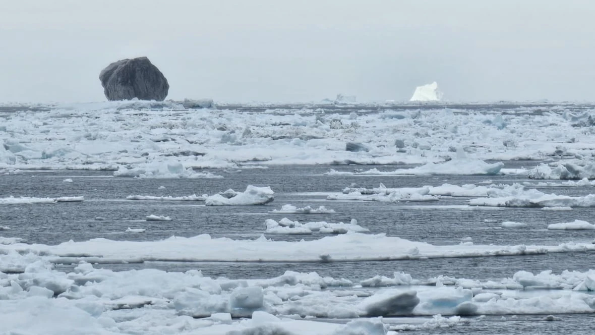 Rare black iceberg spotted off Labrador coast could be 100,000 years old, prof says