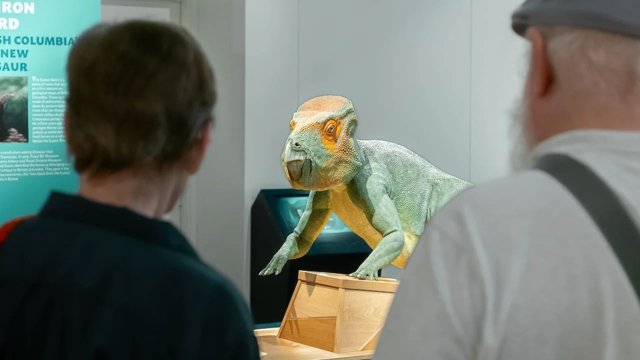 Dinosaurs on display as prehistoric B.C. comes to Prince George