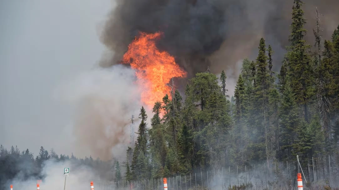 Saint John takes steps to make city more resilient against wildfires