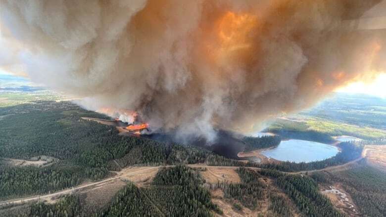 Edmonton creating wildfire strategy as part of emergency management plan