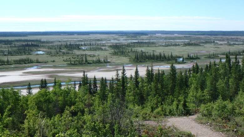 Extreme drought is forcing Wood Buffalo National Park to more aggressively tackle wildfires