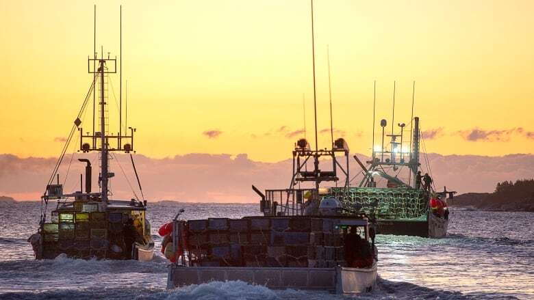 N.S. Liberals promise to establish inquiry into illegal fishing