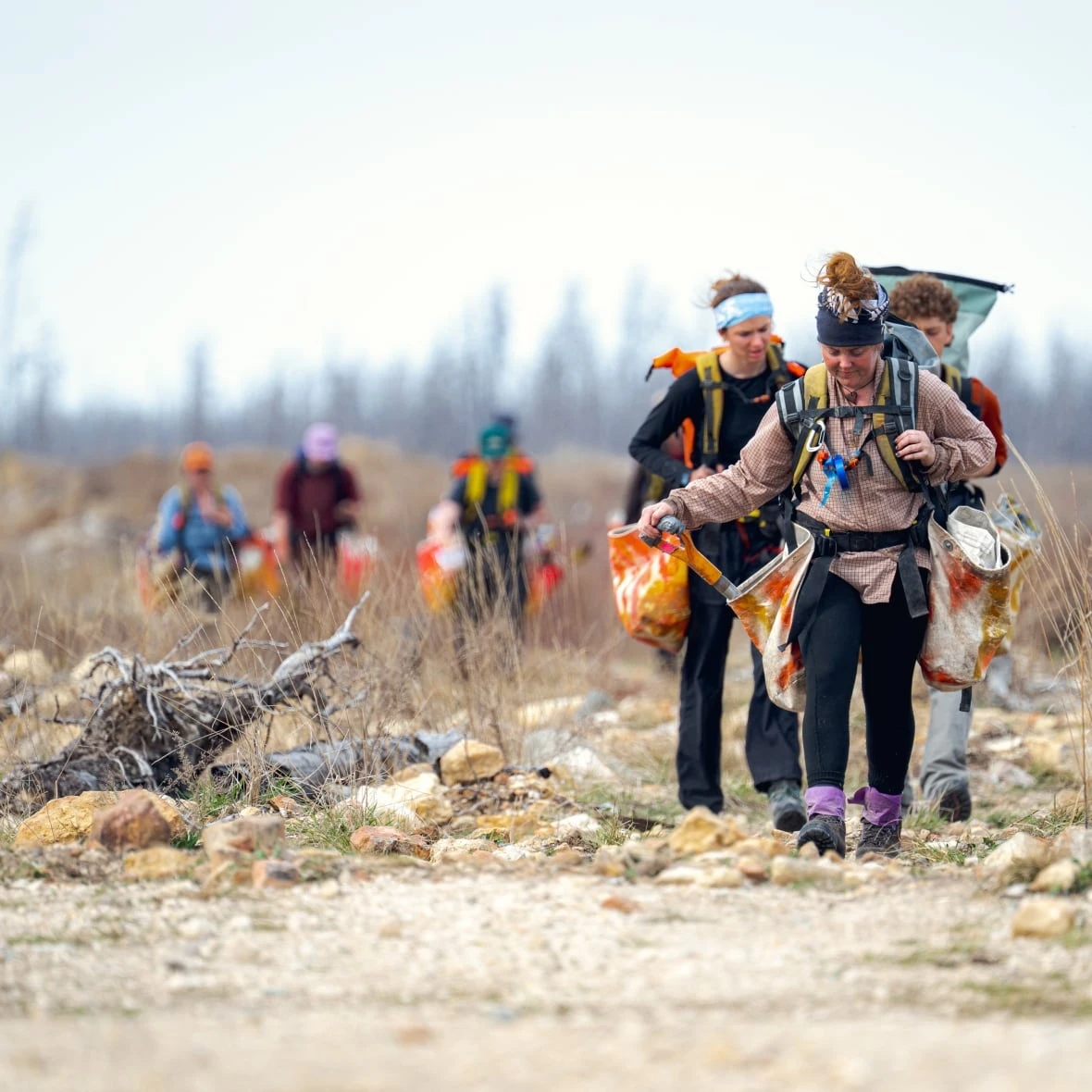 Amid Manitoba's devastating wildfire season, replanting aims to restore forests, fight climate change