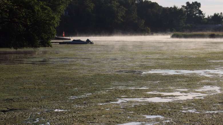 Algae on lakes at west end of Sudbury likely to remain despite $34M upgrade to wastewater plant