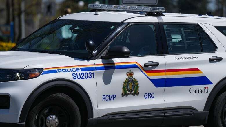 White Rock, B.C., resident charged with over 60 offences following break-in spree