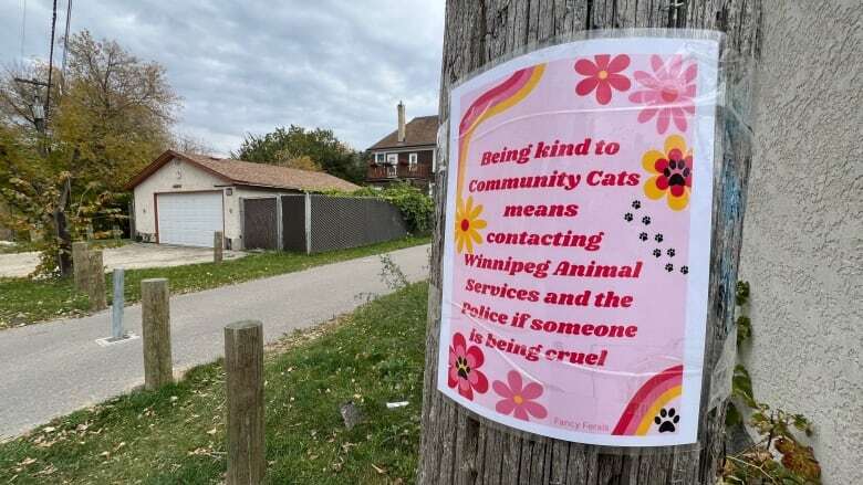 Cats are being found dead in Point Douglas, and animal advocates hope police can find out why