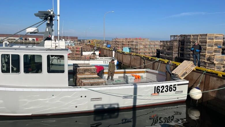 Spring lobster season setting day will be Friday, days before traditional date