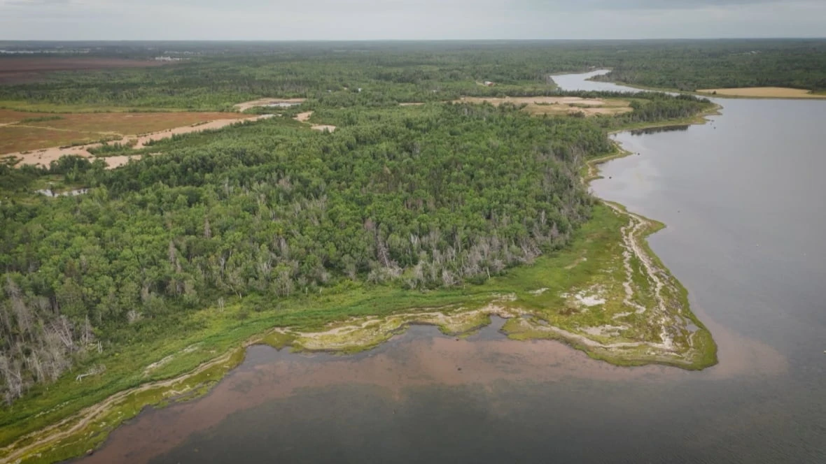 Family of late Lennox Island chief donates 333 acres for conservation in his memory