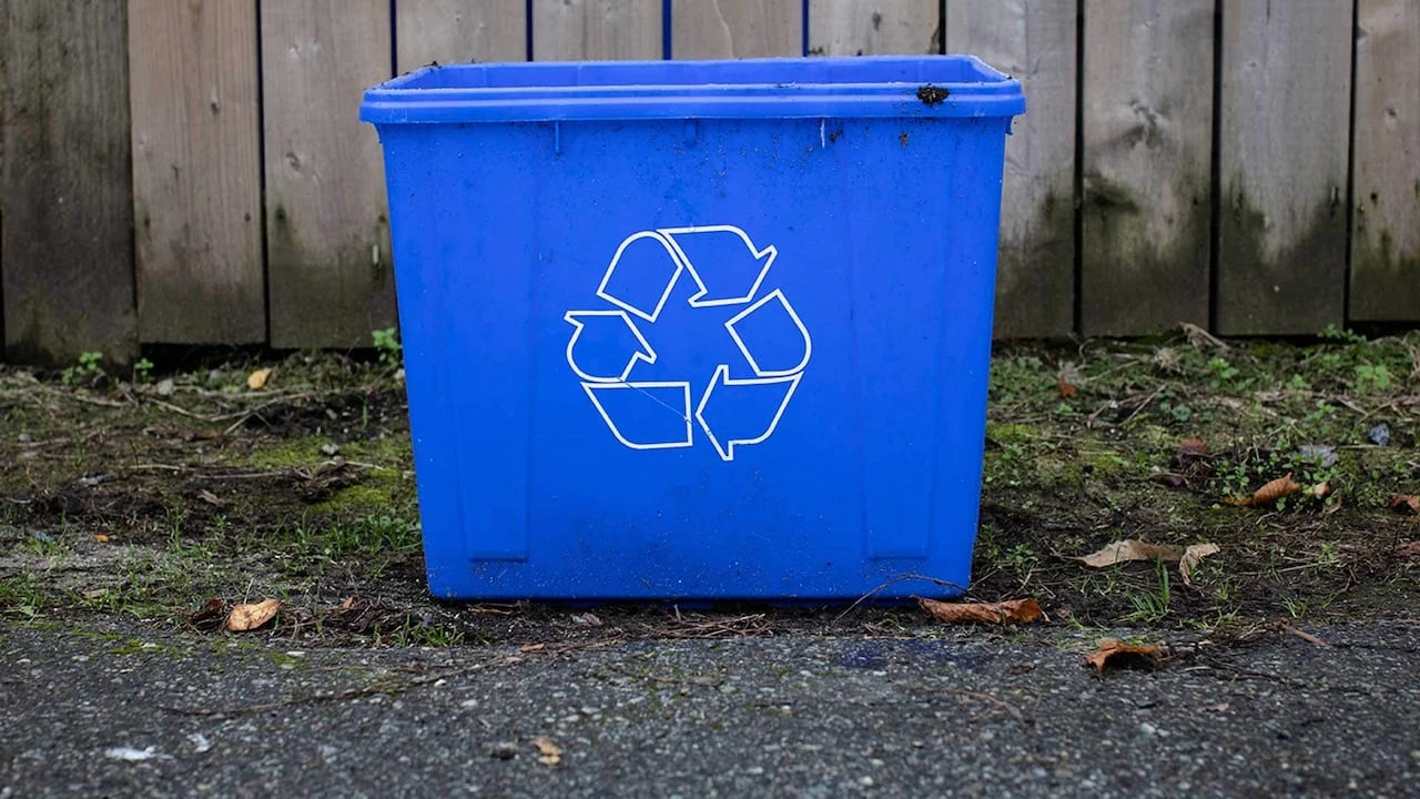 What is 'wishcycling,' and why are some B.C. municipalities cracking down on it?