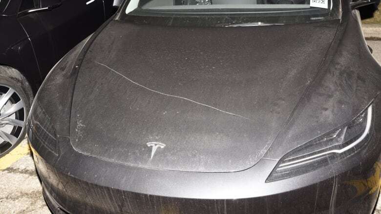 More than 80 Tesla vehicles damaged at Hamilton Mountain dealership