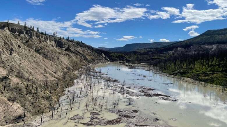 Massive Chilcotin River landslide presents new barriers for struggling B.C. salmon