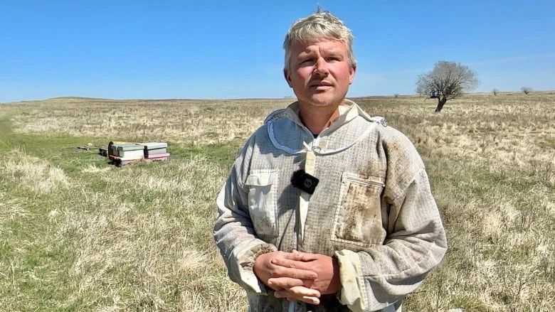 Beehive bandit makes off with 57 hives, leaves Alberta beekeeper feeling 'helpless'