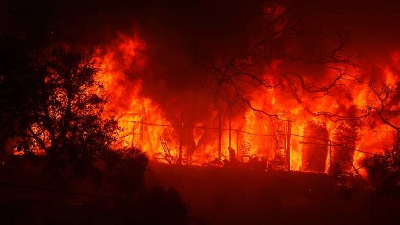 New Brunswicker living near hellscape created by multiple Los Angeles wildfires