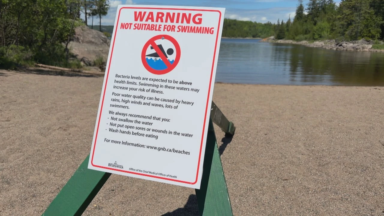 Saint John beaches reopened for swimming after being closed due to elevated bacteria levels