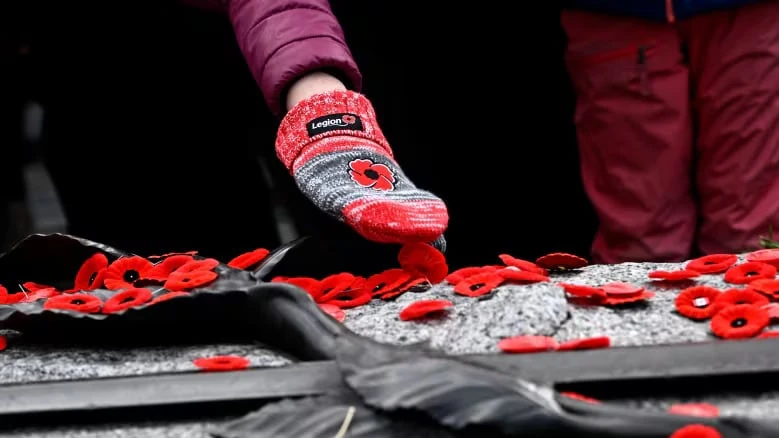 Parades, services planned for Remembrance Day in Hamilton, Burlington and Brantford