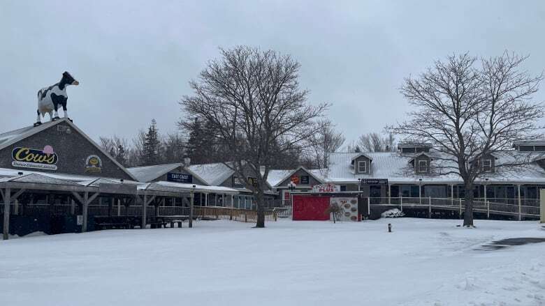 Cavendish Boardwalk getting expansion in time for summer tourism season