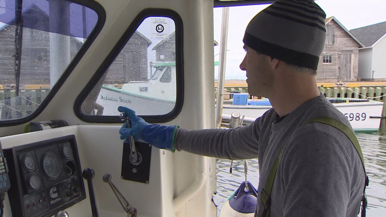 P.E.I. cabinet minister will fish for lobster after all, as DFO denies substitute operator request