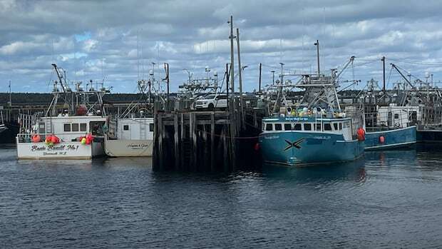 Fisheries officers back on the job after refusing work due to violence